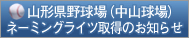 �R�`���싅��i���R����j
�l�[�~���O���C�c�擾�̂��m�点